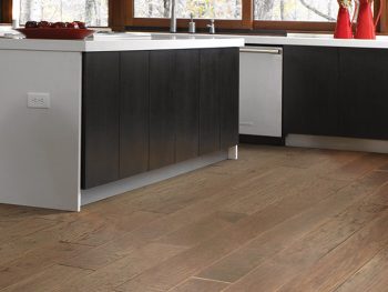kitchen with hardwood flooring